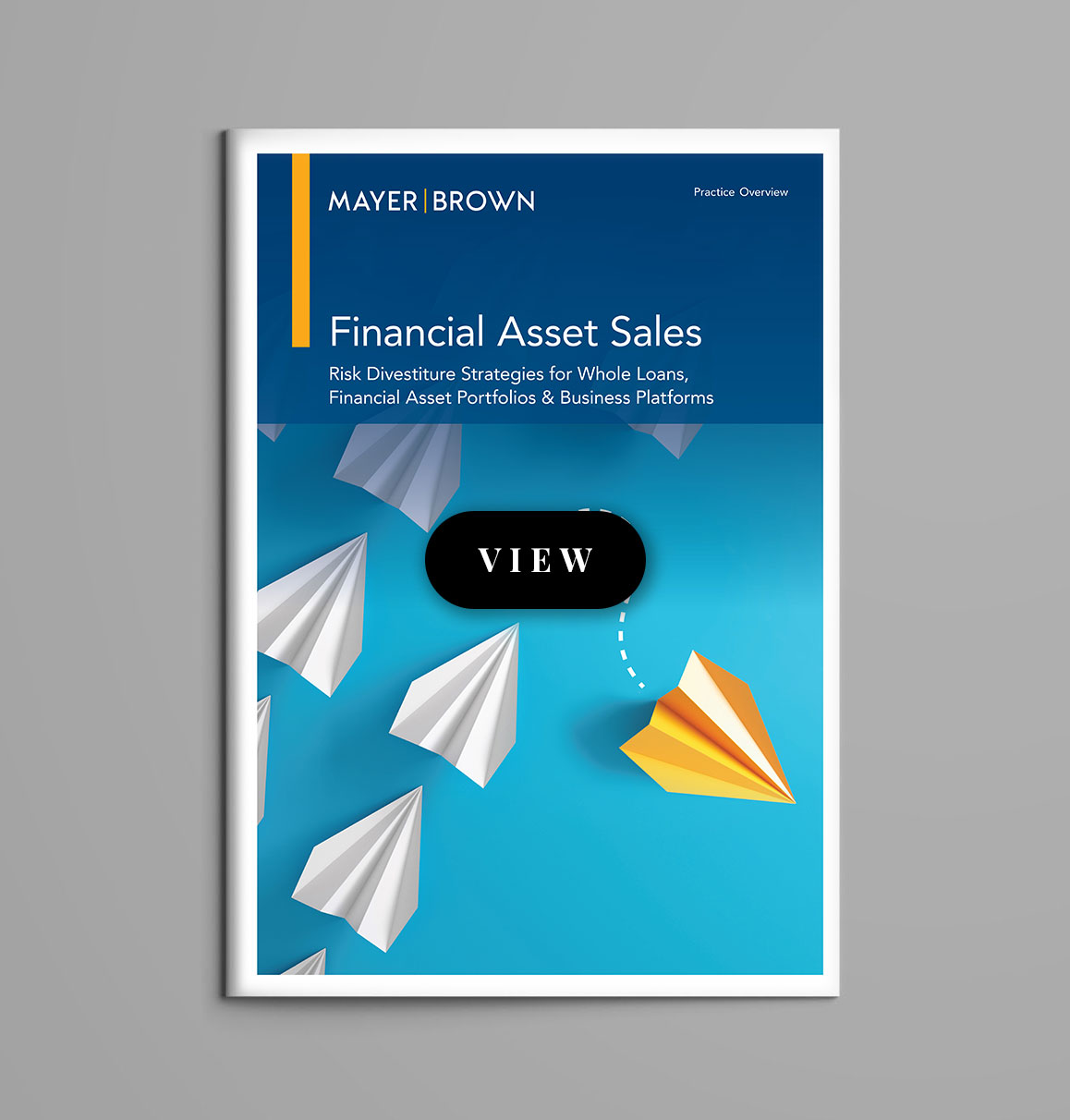 Financial Asset Sales Brochure